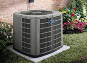 Slide of Wilcox's General Services