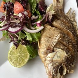 A whole Tilapia Fish A whole Tilapia Fish