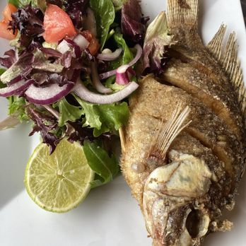Makeda Ethiopian Restaurant - A whole Tilapia Fish - Ethiopian Near Me - Alexandria, Virginia Makeda Ethiopian Restaurant - A whole Tilapia Fish - Ethiopian Near Me - Alexandria, Virginia