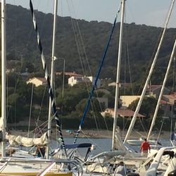 La Cantine du Golfe