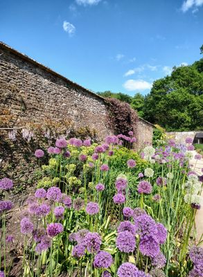 Lacock Abbey by null