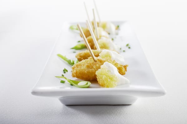 fusion grill by null
