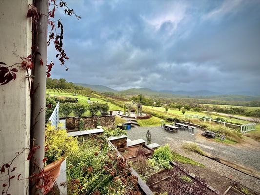 Pippin Hill Farm & Vineyards by null