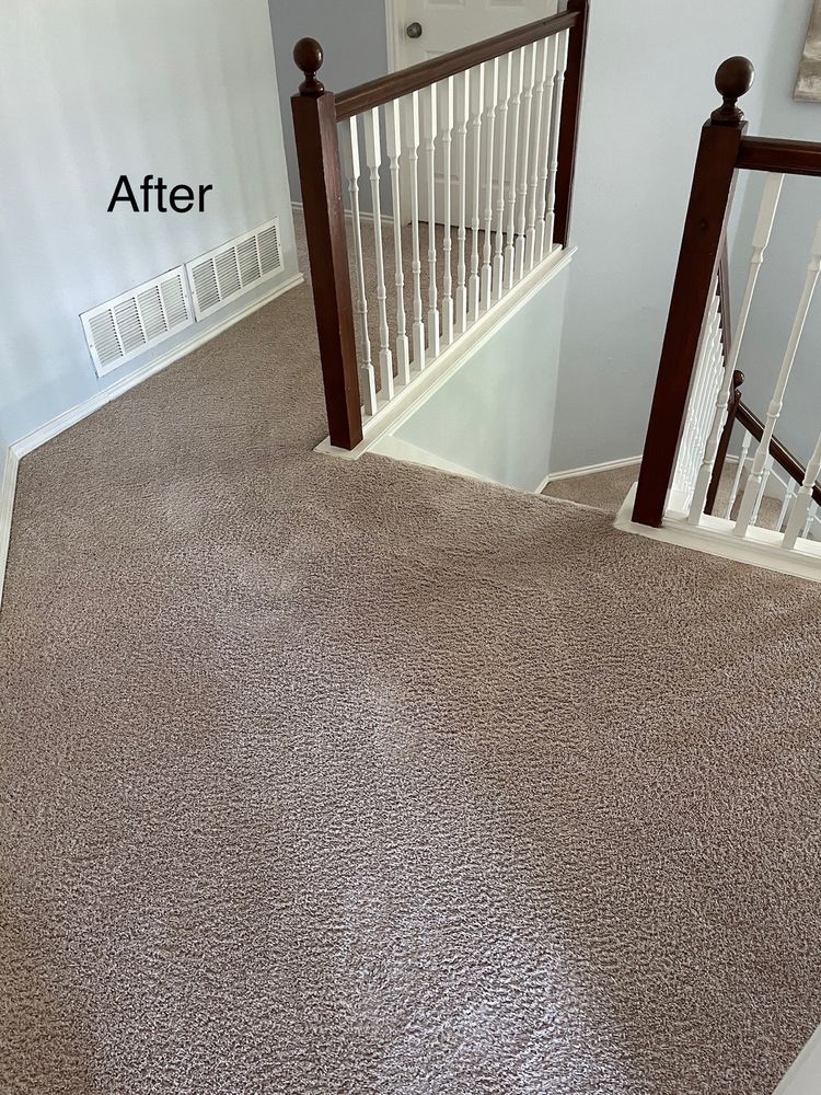 EXPRESS CARPET CLEANING Updated September 2024 12 Photos & 33