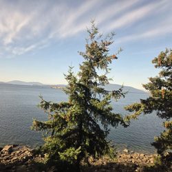 Amtrak Cascades - Water view