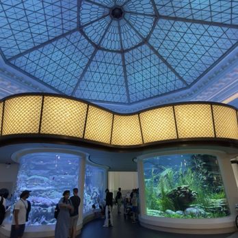 Shedd Aquarium - Aquariums Near Me - Chicago, Illinois