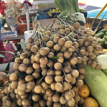 Hilo Farmer's Market - Farmers Market Near Me - Hilo, Hawaii Hilo Farmer's Market - Farmers Market Near Me - Hilo, Hawaii
