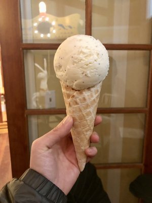 Arcata Scoop by null