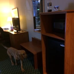 Microwave and fridge