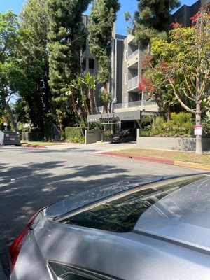 Chamberlain West Hollywood by null