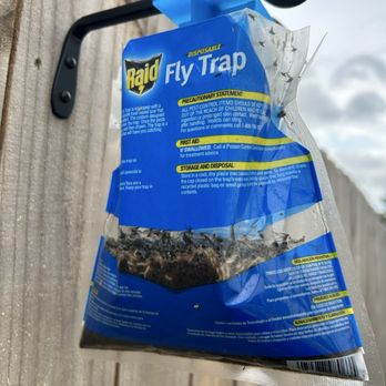 Thomas Wall Plumbing Contractor - Flys we collected from the stench - Plumbing Near Me Thomas Wall Plumbing Contractor - Flys we collected from the stench - Plumbing Near Me