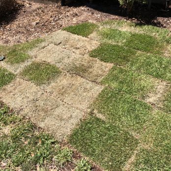 LTI Sales - Artificial Turf Near Me - Lewisville, Texas LTI Sales - Artificial Turf Near Me - Lewisville, Texas
