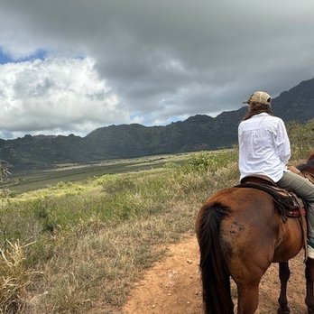 CJM Stables - Horseback Riding Near Me