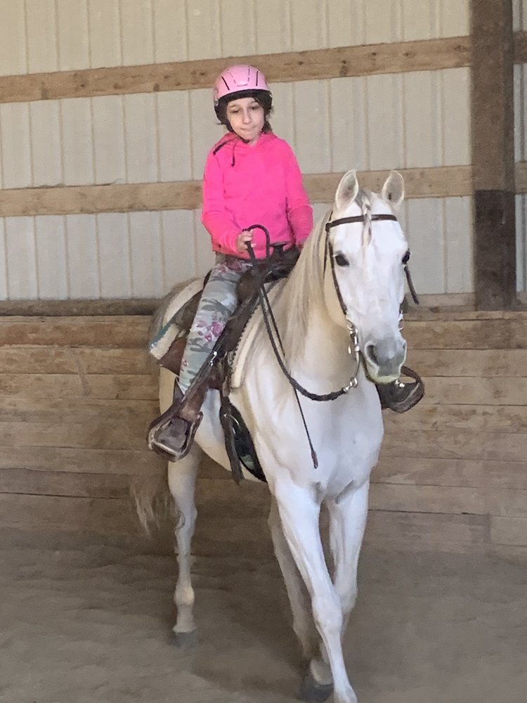 Arabians West - equestrian in Meridian, ID