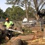 Photo of AJ's Tree Removal