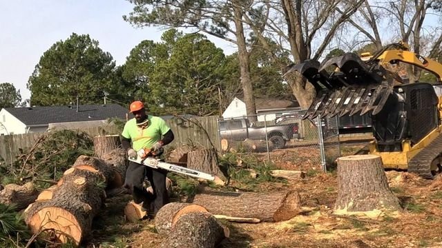 AJ's Tree Removal - tree service in Virginia Beach, VA
