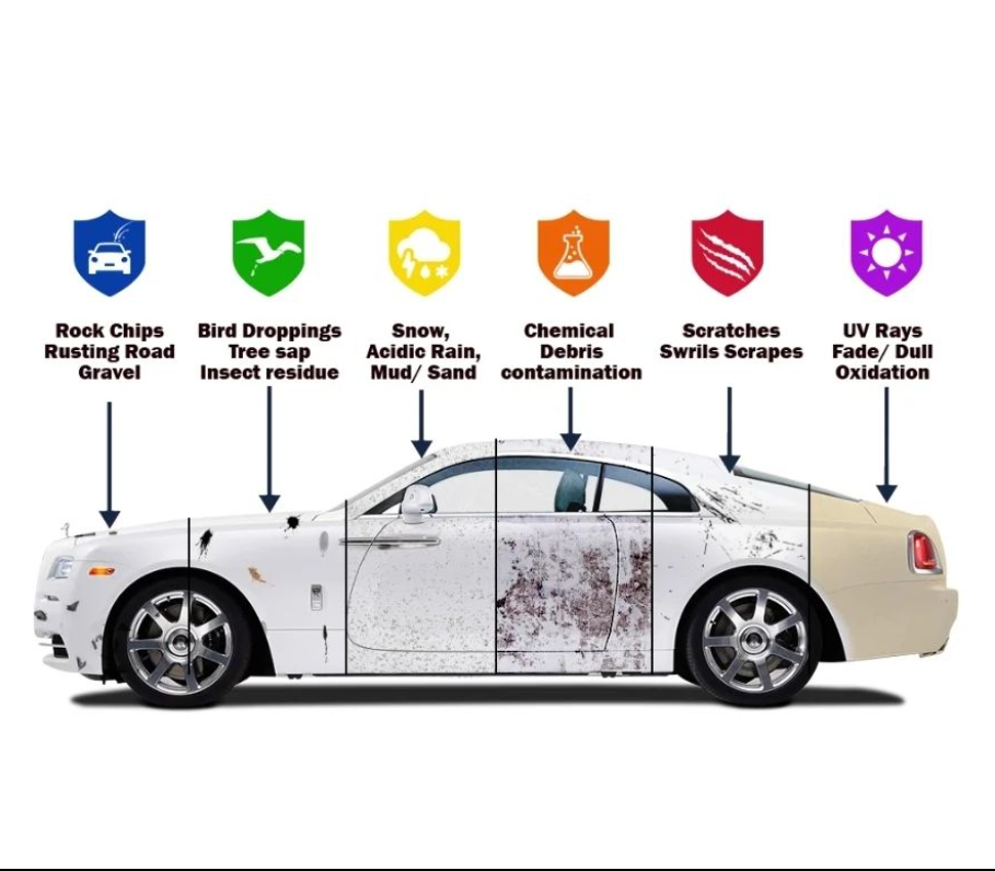 PROTECH AUTO SPA - Updated January 2025 - 11 Photos - 7645 Carroll ...