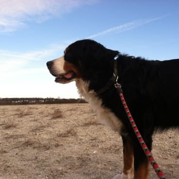 Mud Creek Dog Park - Dog Parks Near Me - East Patchogue, New York