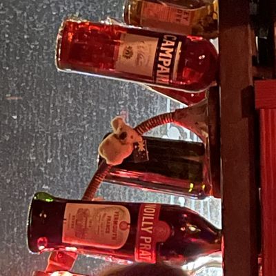 Photo of Tunnel Top - San Francisco, CA, US. Koala!!