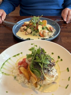 Fishy Fishy Kinsale by null