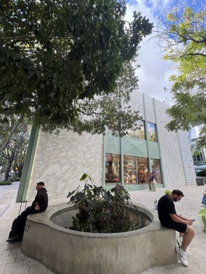 Paradise Plaza by null