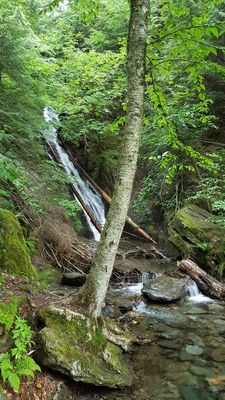 Moss Glen Falls by null