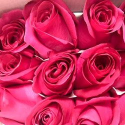 Mc Minnville Florist