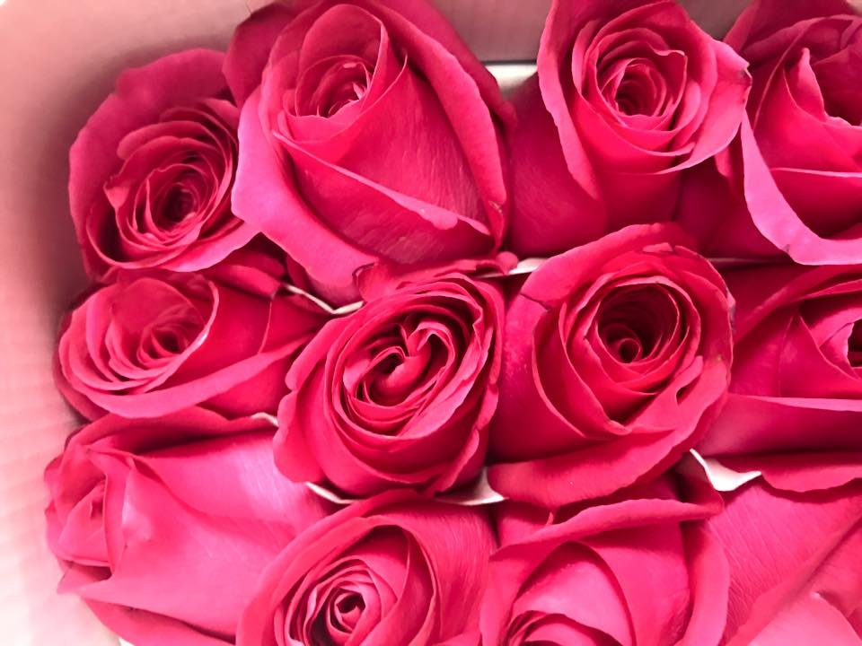 MC MINNVILLE FLORIST 119 W Court Square, Mc Minnville, Tennessee