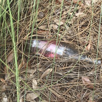 Proximity Residences - A bottle left so long it's embedded - Apartments Near Me - Charleston, South Carolina Proximity Residences - A bottle left so long it's embedded - Apartments Near Me - Charleston, South Carolina