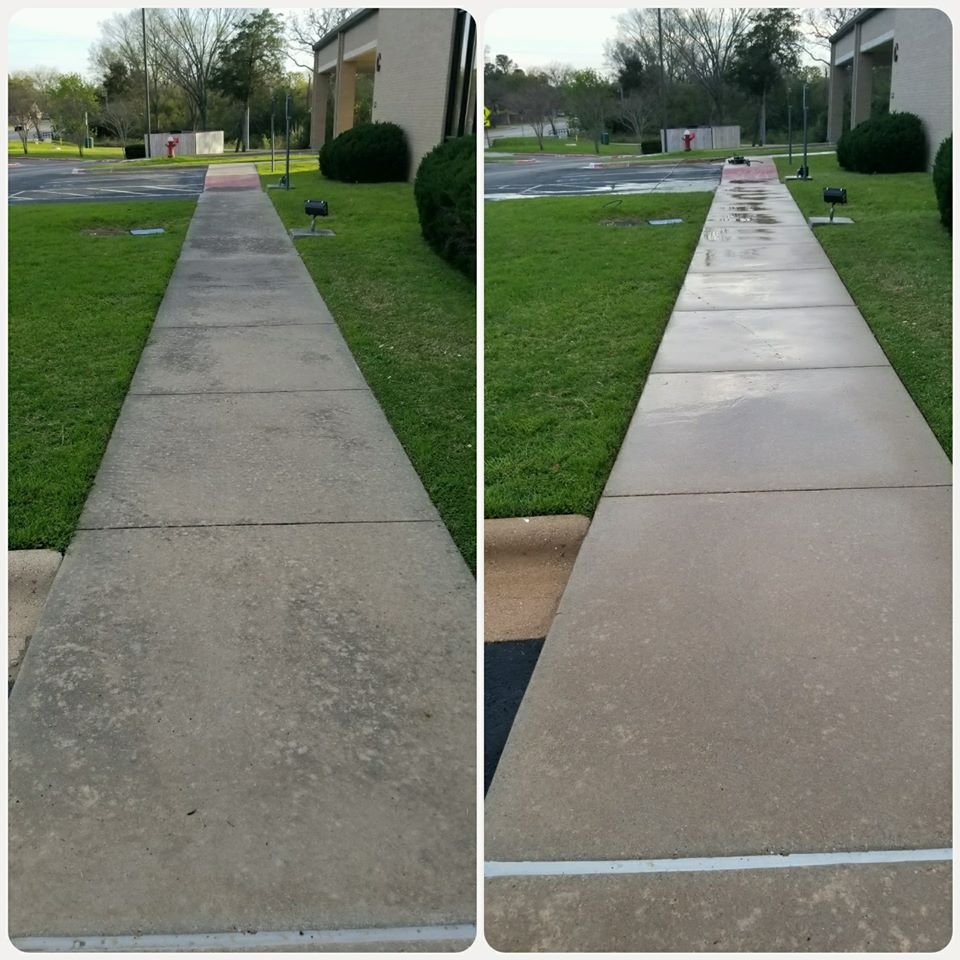 Slide of Wolf's Pro Clean