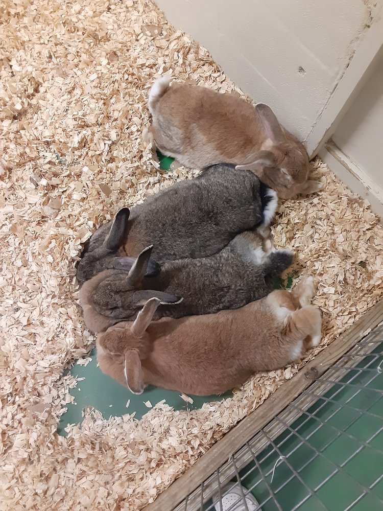 Social spots from The Texas Zoo