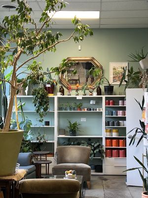 Botanical Cafe by null