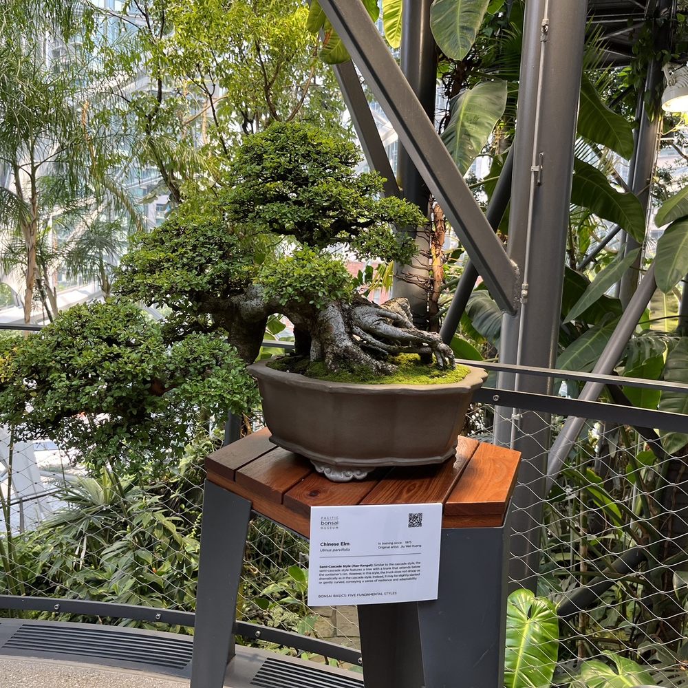 Amazon Spheres - Botanical Gardens Near Me - Seattle, Washington Amazon Spheres - Botanical Gardens Near Me - Seattle, Washington