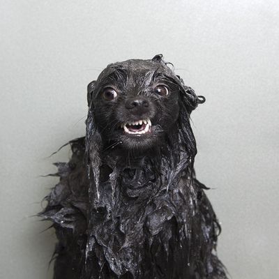 Deals On Wheels Used Cars