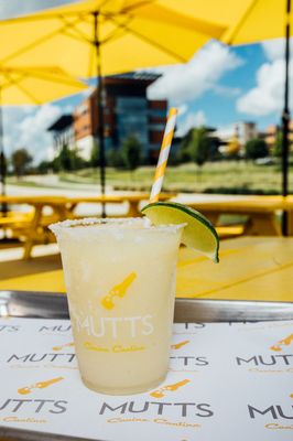 MUTTS Canine Cantina® - Austin by null