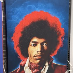 Ross Dress for Less - Jimi Hendrix