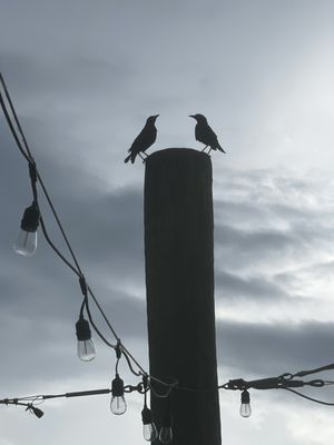 Dockside Bar & Grill by null