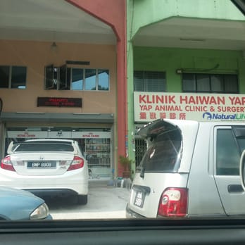 Yap Animal Clinic Surgery Veterinarians 113 Kawasan 16 Klang Selangor Malaysia Phone Number