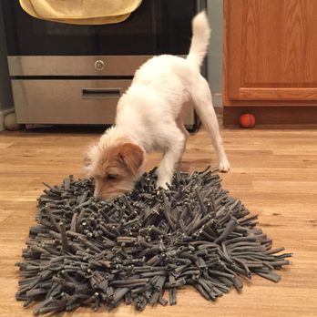Ruff Translation Dog Training - Georgia enjoys a snuffle mat. - Pet Training Near Me Ruff Translation Dog Training - Georgia enjoys a snuffle mat. - Pet Training Near Me