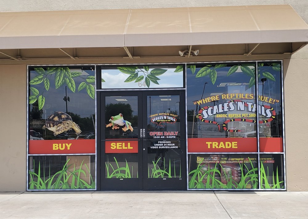 SCALES ‘N TAILS PHOENIX WEST Updated August 2024 15 Photos 10720