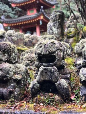 Otagi Nenbutsuji Temple by null