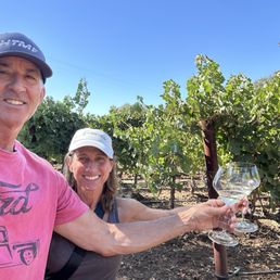 Beautiful vineyard ! Beautiful vineyard !