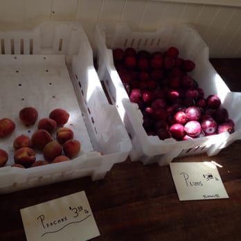 Preston Farm and Winery - Farm fresh peaches and plums - Wine Tours Near Me - Healdsburg, California Preston Farm and Winery - Farm fresh peaches and plums - Wine Tours Near Me - Healdsburg, California