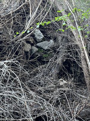 Trail Canyon Falls by null