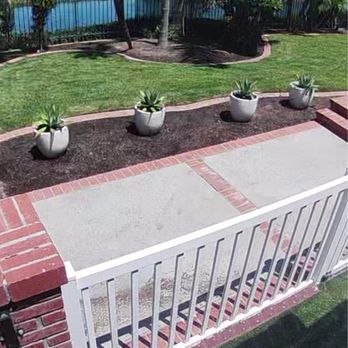 Green Plus Landscaping - We had to replace ALL of the plants he planted because they all died due to no sprinkler use - Tree Services Near Me Green Plus Landscaping - We had to replace ALL of the plants he planted because they all died due to no sprinkler use - Tree Services Near Me