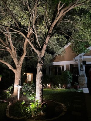 Mendoza Electric