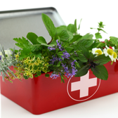 Mother May Eye - grief counselor in Troy, MI