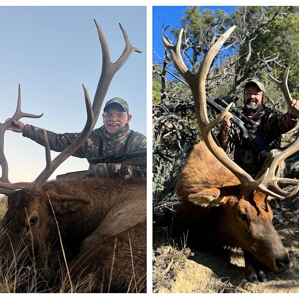 Milligan Brand Outfitters - Wildlife Hunting Ranges Near Me Milligan Brand Outfitters - Wildlife Hunting Ranges Near Me