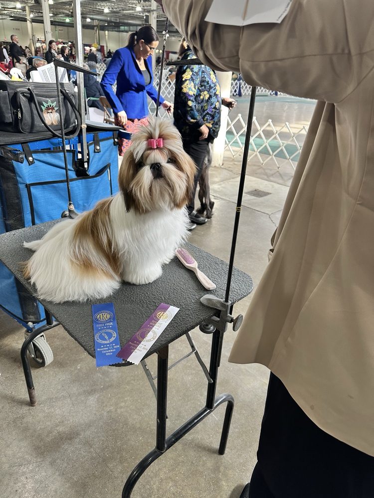 Ohio Expo Center Coliseum - wedding in Columbus, OH