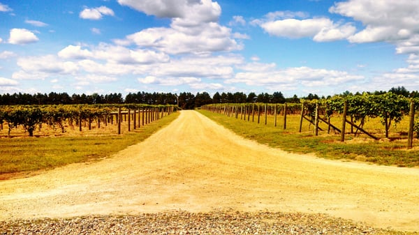 ALEXIS BAILLY VINEYARD INC - Updated January 2026 - 99 Photos & 55